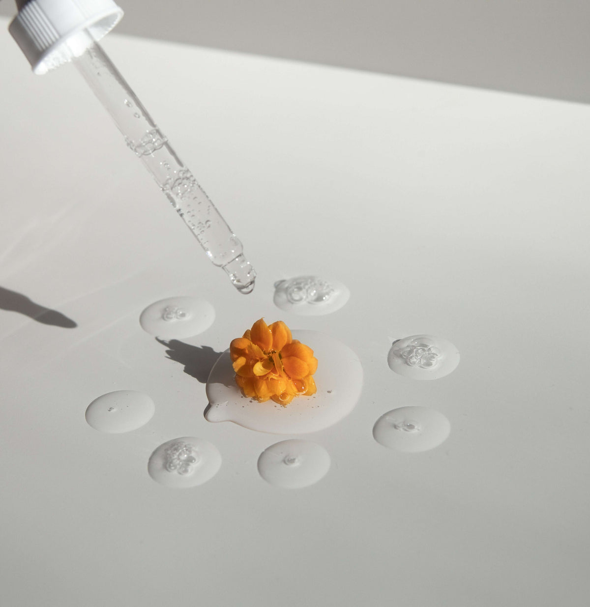 Dive Into The ForChics Formula