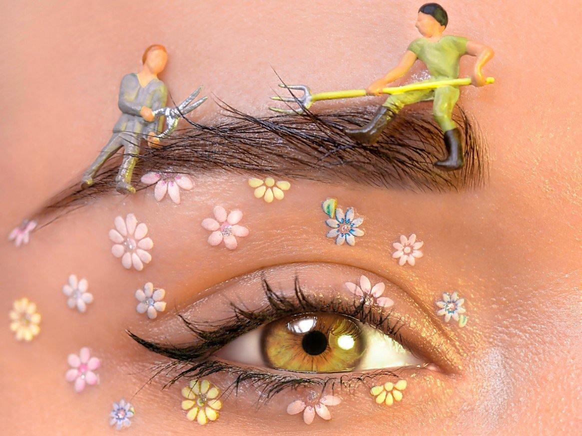 Everything You Ever Needed to Know About Eyebrows